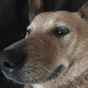 Meet your Posher, Vanesa